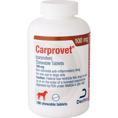 Carprofen chewable tablets for dogs in a 100 mg bottle, designed for pain relief and inflammation management
