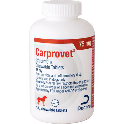 Carprofen chewable tablets for dogs in a bottle, 75 mg, non-steroidal anti-inflammatory drug