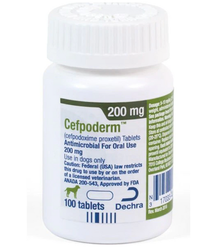Cefpoderm antibiotic for dogs 200 mg in a white bottle containing 100 tablets from Dechra