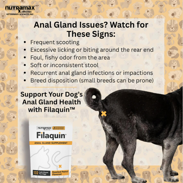 Nutramax Filaquin dog anal gland support chews package with black dog and anal gland health warning signs