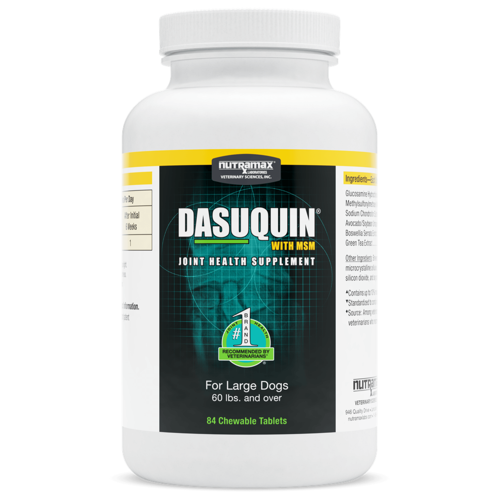 Nutramax Dasuquin MSM for dogs Joint Health Supplement in a bottle with 84 chewable tablets