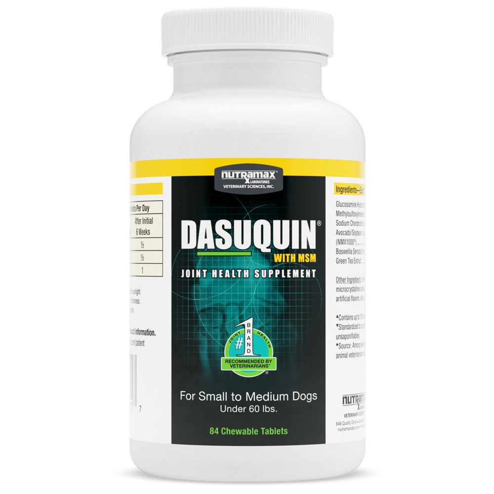 Nutramax Dasuquin MSM for dogs, Joint Health Supplement, 84 Chewable Tablets for Small to Medium Dogs