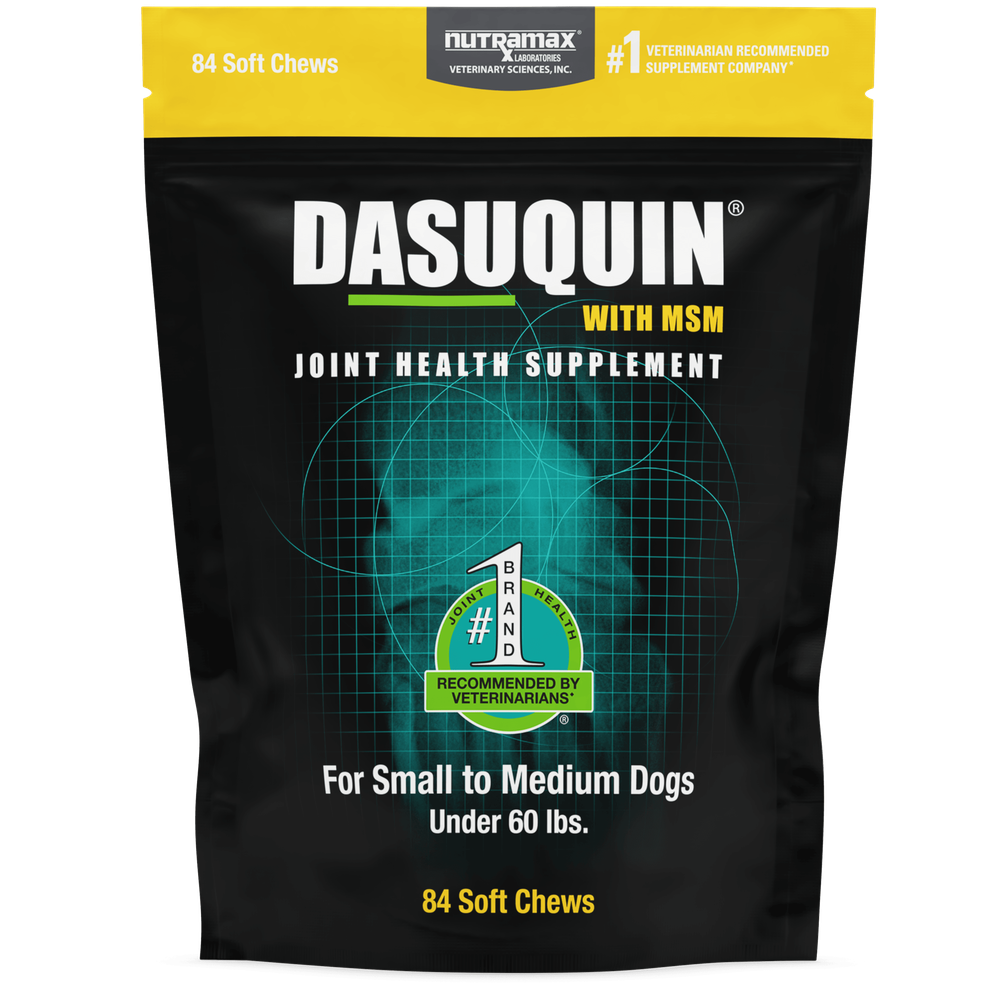 Nutramax Dasuquin MSM for dogs, 84 soft chews for joint health in small to medium dogs