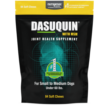 Nutramax Dasuquin MSM for dogs, 84 soft chews for joint health in small to medium dogs