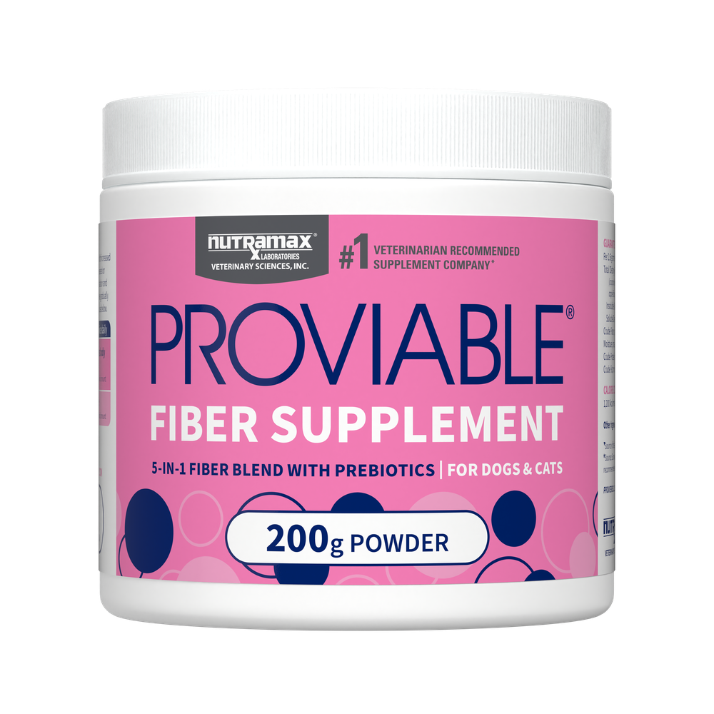 Nutramax Proviable-FORTE probiotics 200g powder for dogs and cats, featuring a 5-in-1 fiber blend with prebiotics