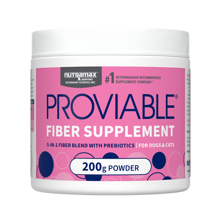 Nutramax Proviable-FORTE probiotics 200g powder for dogs and cats, featuring a 5-in-1 fiber blend with prebiotics