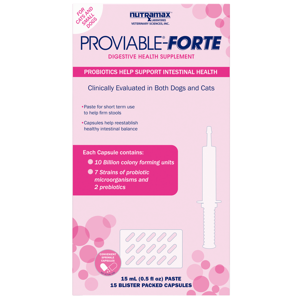 Nutramax Proviable-FORTE probiotics in a 15 count package for digestive health support in dogs and cats