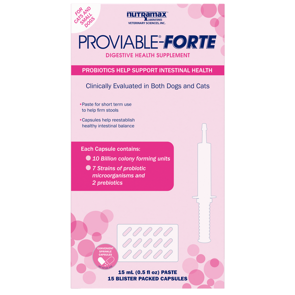 Nutramax Proviable-FORTE probiotics in a 15 count package for digestive health support in dogs and cats