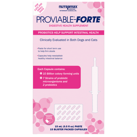 Nutramax Proviable-FORTE probiotics for dogs and cats, 15 soft capsules for digestive health support