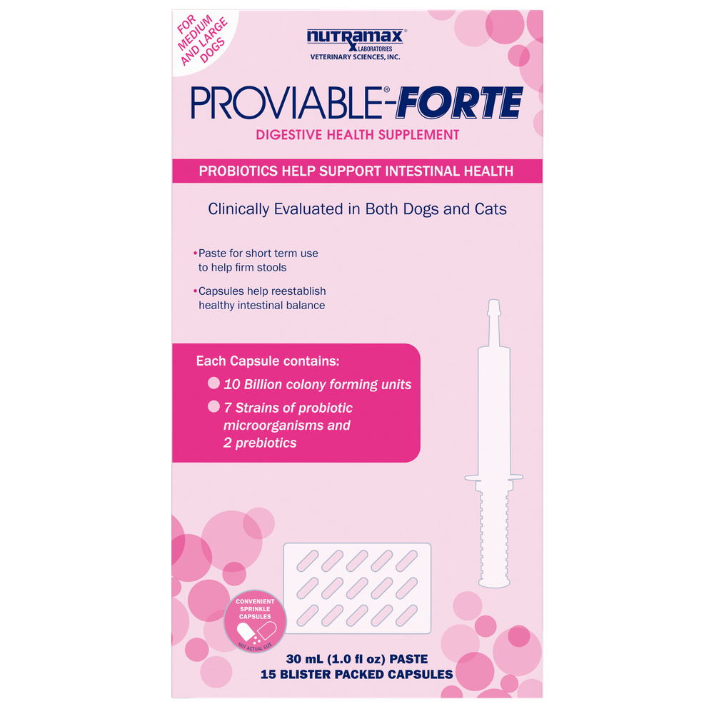 Nutramax Proviable-FORTE probiotics digestive health supplement capsules for dogs and cats
