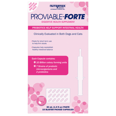 Nutramax Proviable-FORTE probiotics digestive health supplement for dogs and cats with 15 blister packed capsules