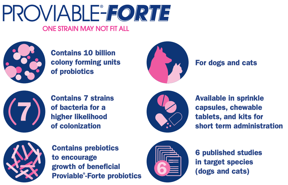 Nutramax Proviable-FORTE probiotics infographic showing benefits for dogs and cats