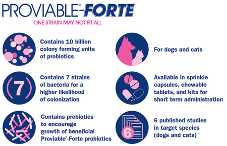Nutramax Proviable-FORTE probiotics infographic showing benefits for dogs and cats