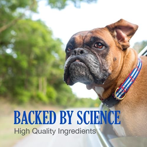 Nutramax Vitamin B12 for cats and dogs with high quality ingredients shown in an outdoor setting