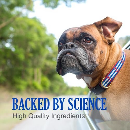 Nutramax Vitamin B12 for cats and dogs with high quality ingredients shown in an outdoor setting