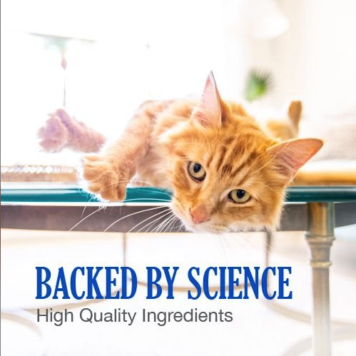 Nutramax vitamin B12 for cats and dogs with high quality ingredients for pet health