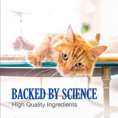 Nutramax vitamin B12 for cats and dogs with high quality ingredients for pet health