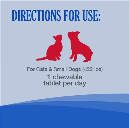 Nutramax Vitamin B12 for cats and dogs with dosage instructions for small pets