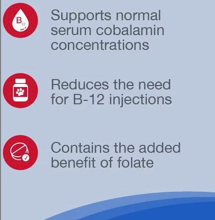 Nutramax vitamin B12 for cats and dogs supports serum cobalamin levels and reduces injection needs