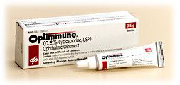 Optimmune eye ointment for dogs in a 15g tube and box by Merck for treating eye conditions
