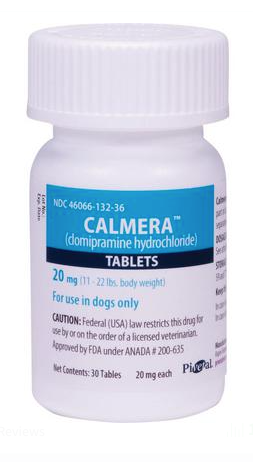 Pivetal Calmera Tablets 20 mg for dogs, designed to manage anxiety and behavioral issues