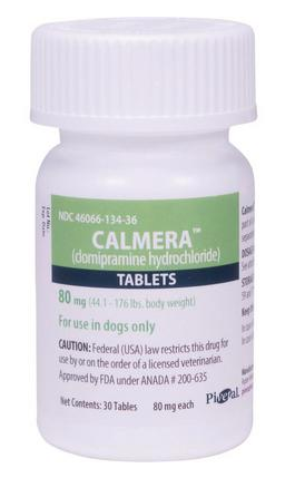 Pivetal Calmera 80 mg Tablets for Dogs, Prescription Medication for Canine Use Only