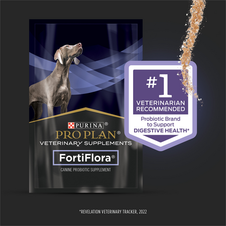 Purina Pro Plan FortiFlora canine probiotic supplement for pet digestive health supplement