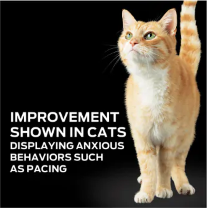 Purina ProPlan Calming Care for cats showing improvement in reducing anxious behaviors like pacing