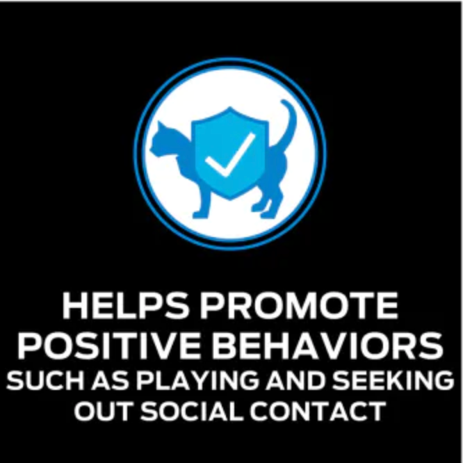 Purina ProPlan Calming Care promoting positive behaviors in cats for enhanced social interaction