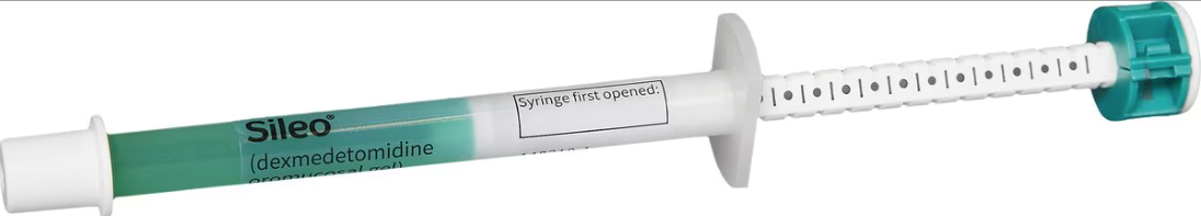 Sileo gel for anxious dogs in a syringe for easy administration during stressful situations