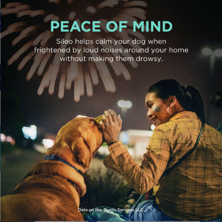 A woman soothing her dog during fireworks with Sileo gel for anxious dogs to reduce stress