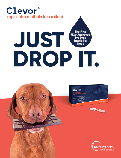 Clevor ropinorole ophthalmic solution for dog vomiting, featuring a dog holding a chocolate bar