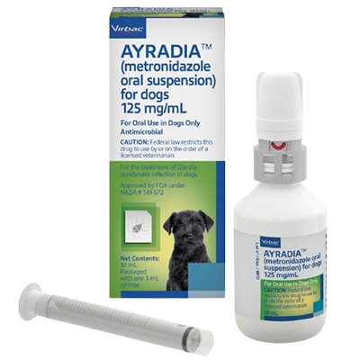 Ayradia metronidazole for pets oral suspension for dogs 125 mg/mL in a white bottle with a syringe