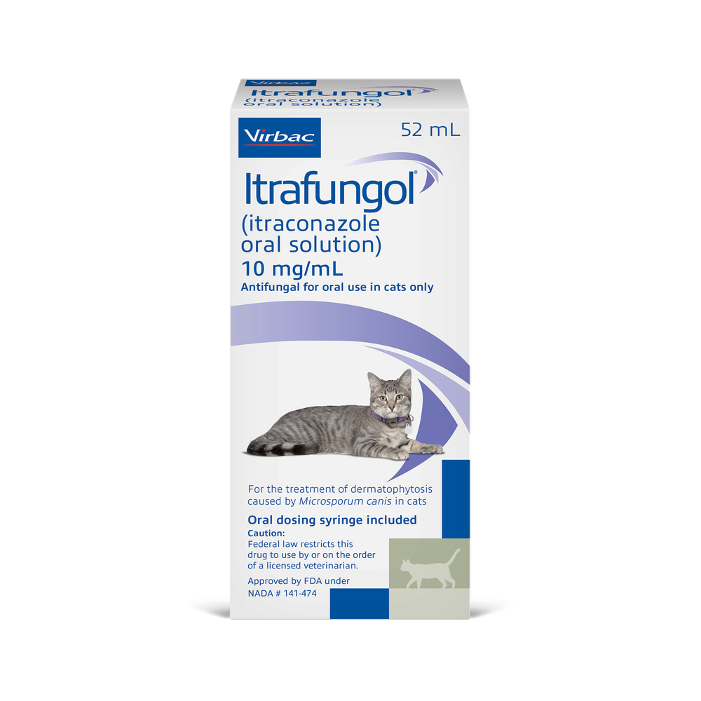 Itraconazole for pet care Itrafungol oral solution for cats in 52 mL packaging with dosing syringe included
