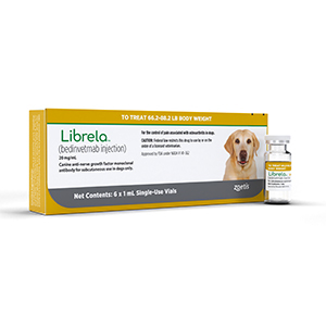 Librela for dogs 24 mg injection pack with single-use vials for targeted joint pain relief in canines