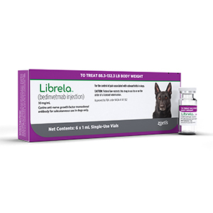 Librela for dogs by Zoetis, a prescription medication for treating arthritis in pets