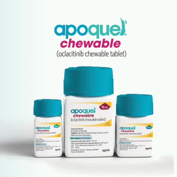 Apoquel chewable tablets for dogs in various sizes from Zoetis for allergy relief