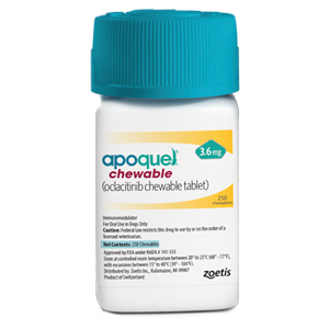 Apoquel chewable tablets for dogs in a white container with a turquoise lid for allergy relief