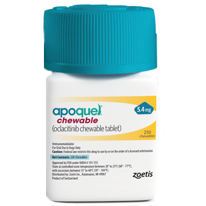 Apoquel chewable tablets for dogs in a white container by Zoetis, designed for allergy relief