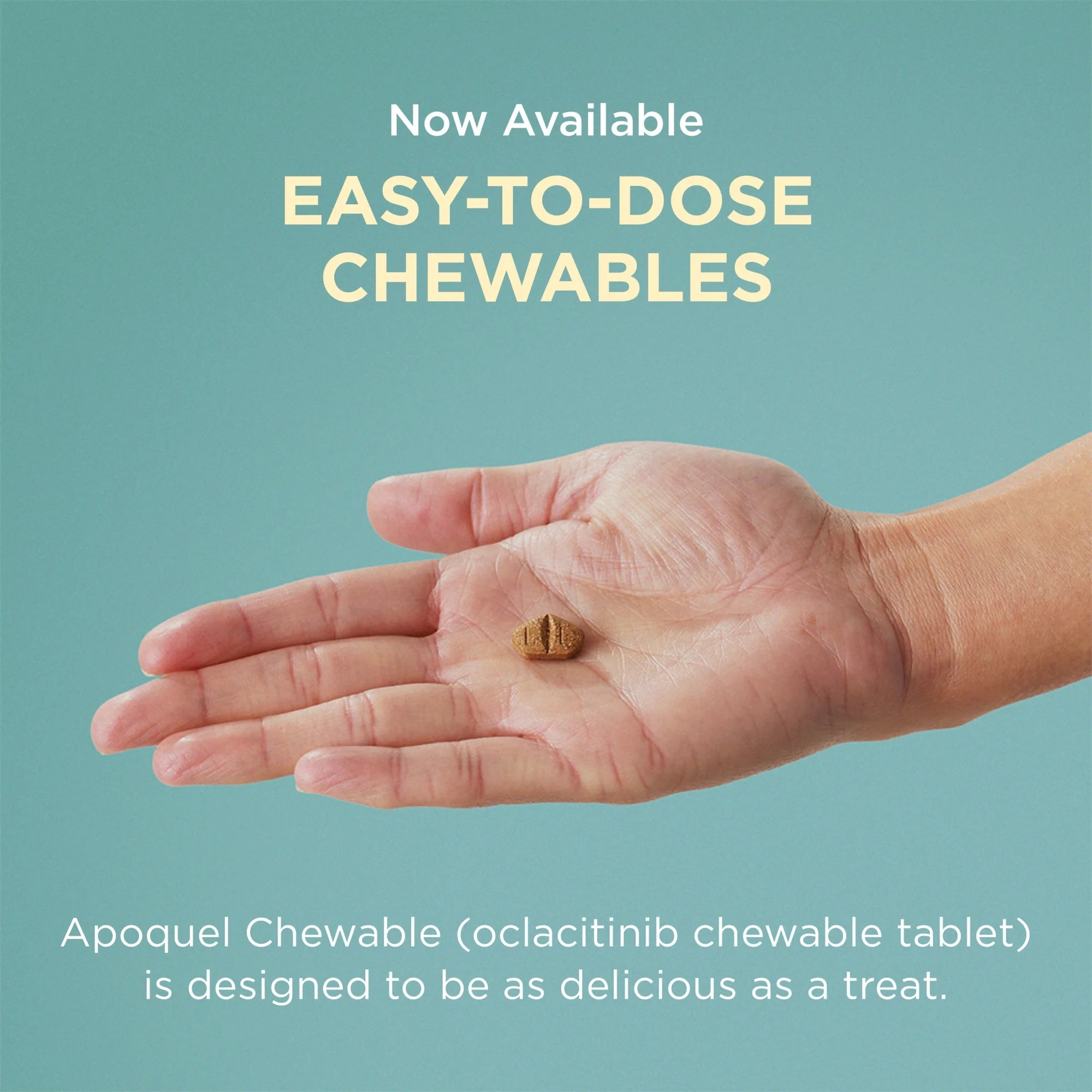Apoquel chewable tablets for dogs displayed on a hand, showcasing easy-to-dose chewables