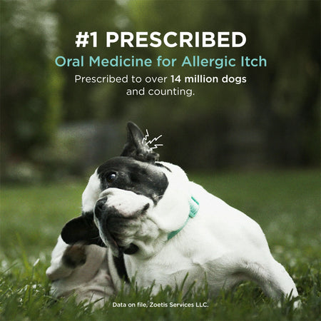 Apoquel tablets for dogs, the #1 prescribed oral medicine for allergic itch in over 14 million dogs