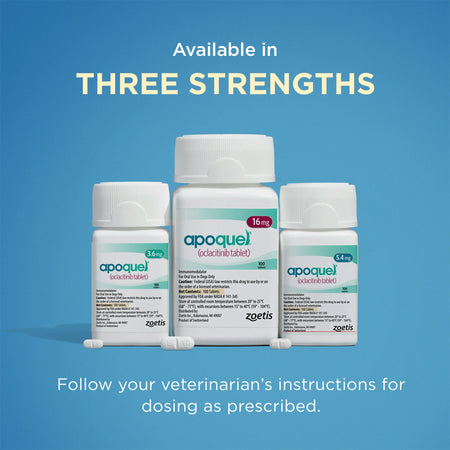Apoquel tablets for dogs in three strengths with clear labeling from Zoetis for effective dosing