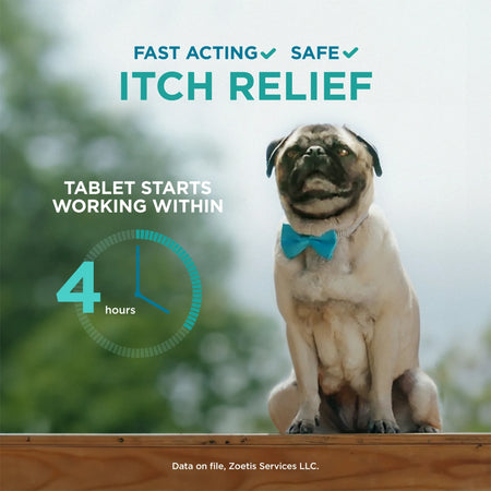 Apoquel tablets for dogs offering fast acting and safe itch relief, with effects starting within 4 hours