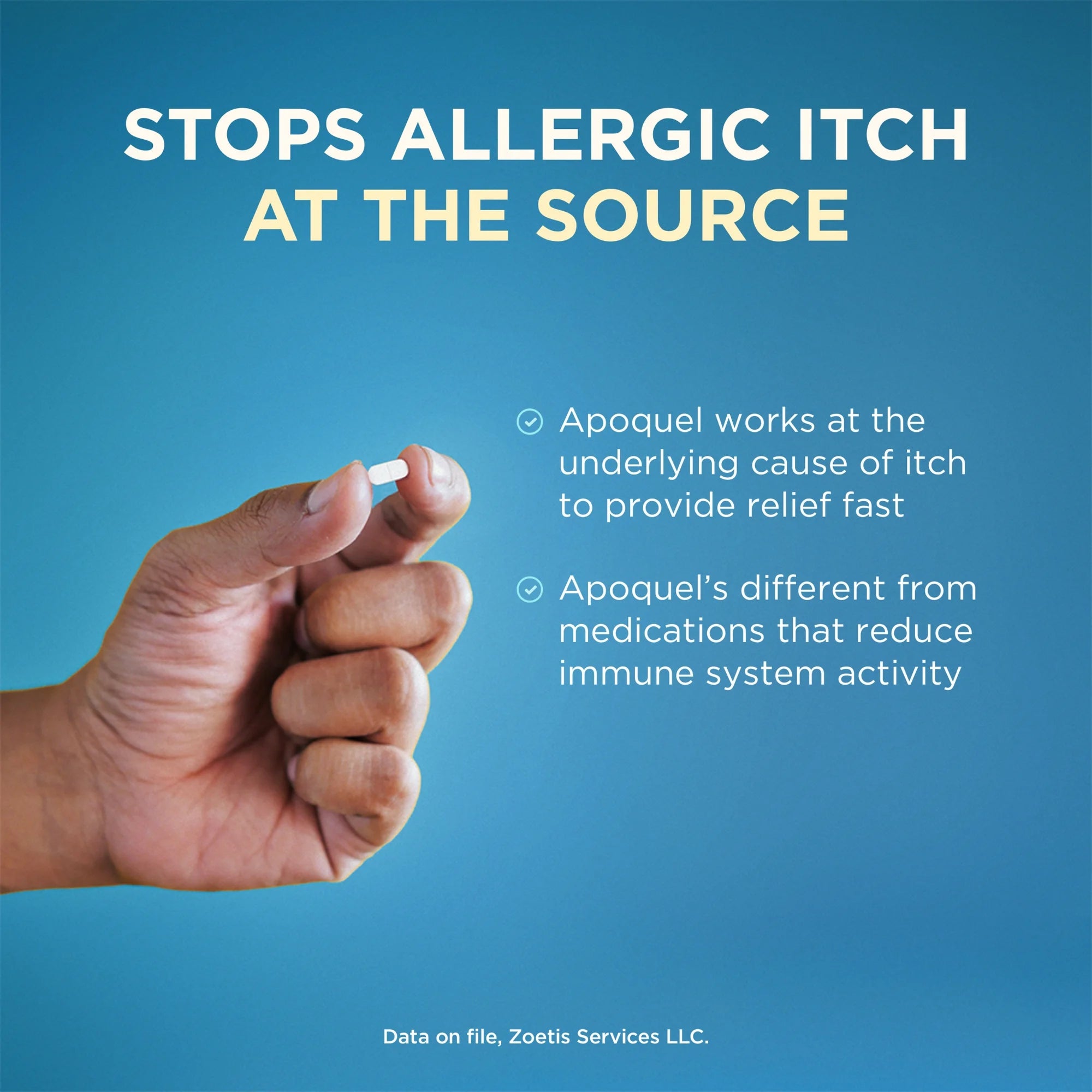 A hand holding an Apoquel tablet for dogs to provide fast relief from allergic itch