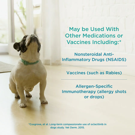 Apoquel tablets for dogs with information on combining with NSAIDs or vaccines